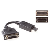 Advanced cable technology Conversion cable DisplayPort male ? DVI femaleConversion cable DisplayPort male ? DVI female (AK3985)